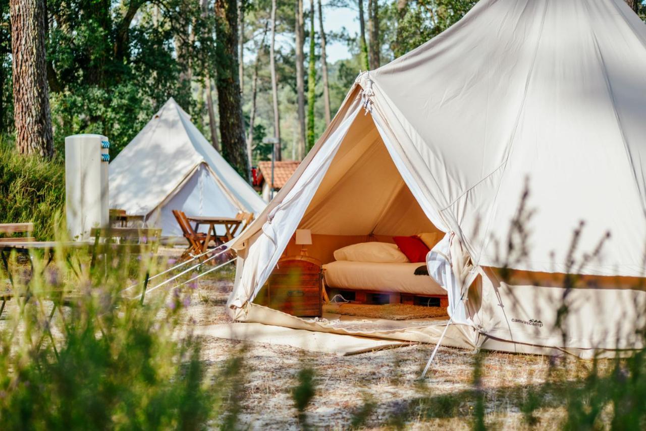 Cocooning Tipi - Seignosse Hotell Exteriör bild